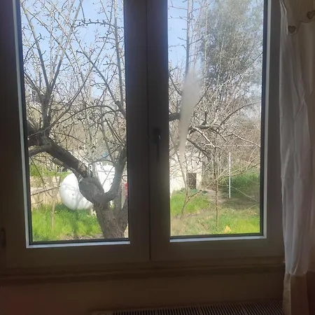 Nuovo Fra Alberi E Trulli * Martina Franca