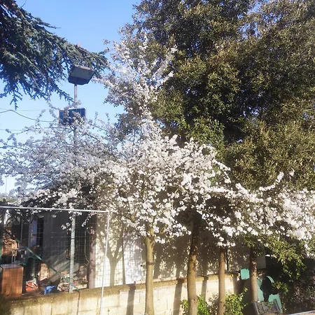 Nuovo Fra Alberi E Trulli Apartment